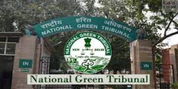 NGT asks states to make more efforts, fully utilize funds to improve air quality